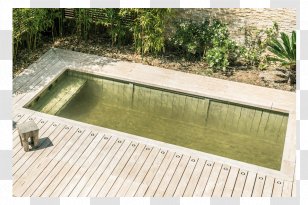 Window Swimming Pool Light Sunroom Transparent PNG