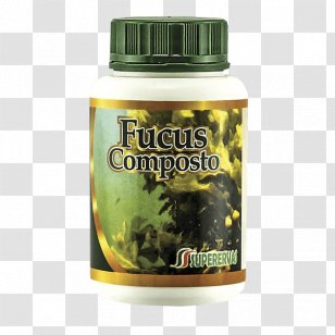 Mexican Tea Capsule Pharmaceutical Drug Garden Rhubarb Anthelmintic - Phytotherapy - Compos Transparent PNG