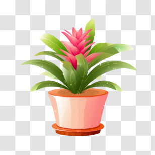 Bromeliad - Potted Pink Plant In A Rustic Pot Transparent PNG