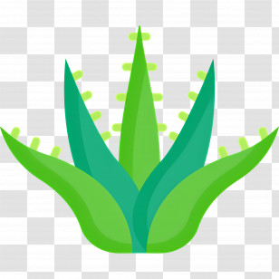 Aloe Vera - Green Plant Icon Transparent PNG