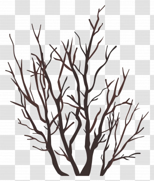 Bare Branches - Illustration Of Bare Tree Branches Transparent PNG