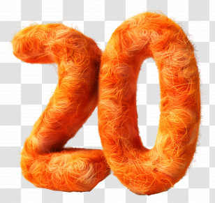 Number 20 - Furry Orange Number 20 Transparent PNG