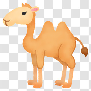 Clipart - Cute Cartoon Camel Illustration Transparent PNG