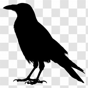 Crow Silhouette - Raven Silhouette In Minimalist Style Transparent PNG