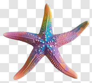 Starfish - Rainbow-Colored Artistic Starfish Ornament Transparent PNG