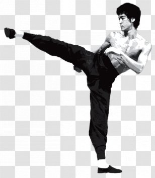 bruce lee dragon kick