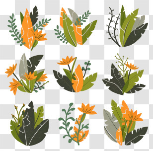 Cartoon - Modern Plant And Flower Illustrations Transparent PNG