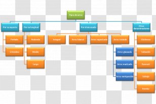 Brand Architecture TÃ¼rkÃ§enin Dil Bilgisi - Diagram - ARROZ Transparent PNG