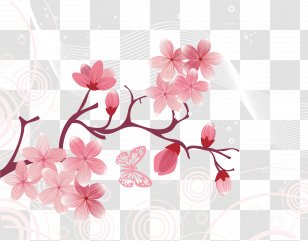 Cherry Blossom Flower - Spring - Vector Japanese Blossoms Transparent PNG