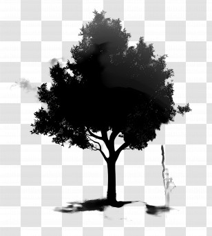Black Tree - Black Tree Silhouette Artwork Transparent PNG