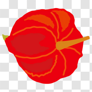 Icon - Red Fruit Illustration Transparent PNG
