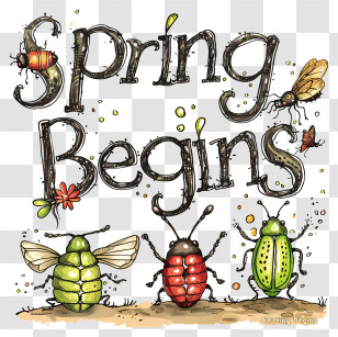 Spring Begins - Spring Begins With Insects And Flowers Transparent PNG