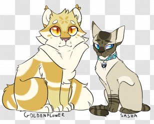 Kitten Whiskers Warriors Goldenflower Cat - Leafpool Transparent PNG