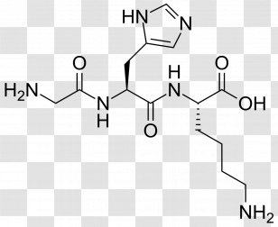 Copper Peptide GHK-Cu Tripeptide Proteasome Bortezomib - Text Transparent PNG