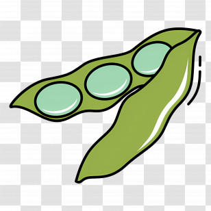 Green Peas - Green Pea Pod Illustration Transparent PNG