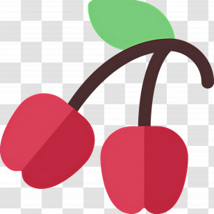 Cherry - Bright Red Cherries Illustration With Leaves Transparent PNG