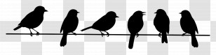 Birds Sitting On A Line - Silhouettes Of Birds Perched On A Wire Transparent PNG