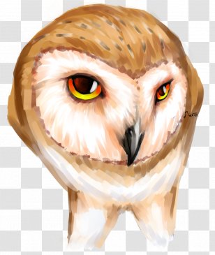 Owl Eye Beak Snout Close-up - Flower Transparent PNG