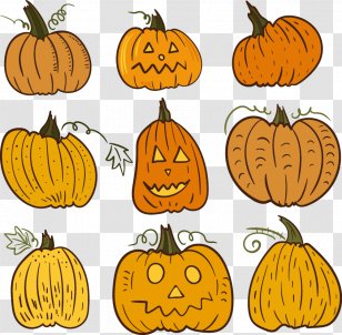 Painted Pumpkin - Jack O Lantern - Clip Art Transparent PNG