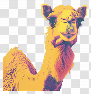Camel - Colorful Camel Illustration Transparent PNG