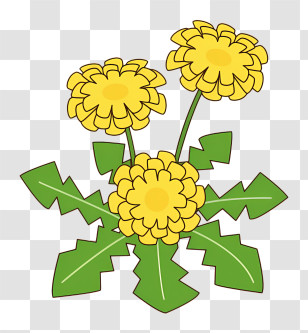 Cartoon - Yellow Dandelion Flowers Transparent PNG