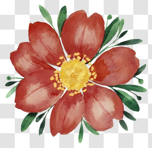 Watercolor Painting - Beautiful Red Flower With Green Leaves Transparent PNG