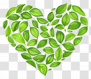 Tea Leaves - Heart Made Of Green Leaves Design Transparent PNG