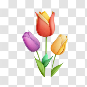 Colorful Tulip - Bright Tulips In Colorful Illustration Transparent PNG