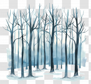 Winter Forest - Beautiful Winter Forest With Bare Trees Transparent PNG