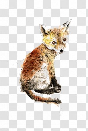 Red Fox Gray Wolf Silver Arctic - Drawing Transparent PNG