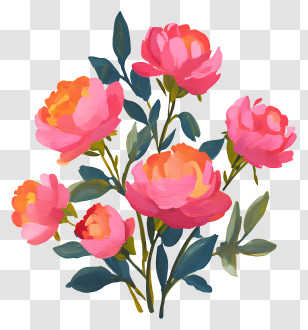Pink Bouquet - Pink Peony Flowers Transparent PNG