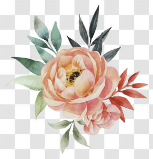 Pink Flower - Pink Watercolor Peony With Green Leaves Transparent PNG