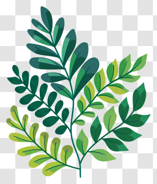 Green Fern Leaf - Illustration Of Green Leafy Plants Transparent PNG