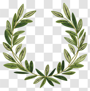 Laurel Wreath - Green Laurel Wreath Illustration Transparent PNG