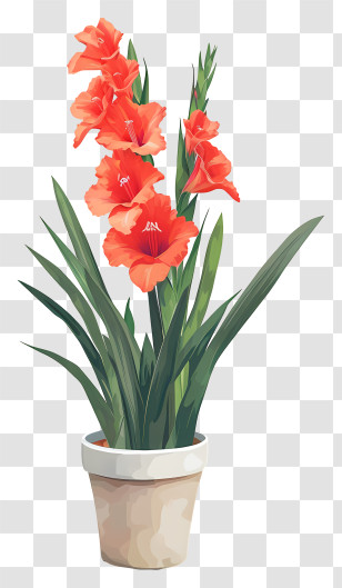 Gladiolus - Red Gladiolus In A Pot Illustration Transparent PNG