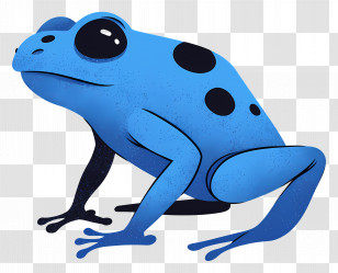 Poison Dart Frog - Blue Poison Dart Frog Illustration Transparent PNG