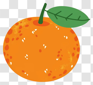 Orange - Illustration Of Orange Fruit With Green Leaf Transparent PNG