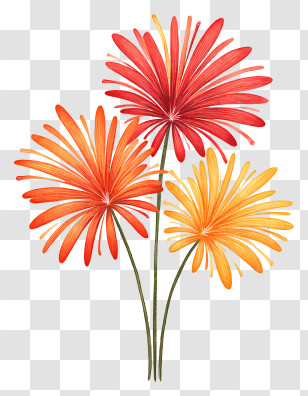 Fireworks Show Icon - Artistic Red And Yellow Flowers Transparent PNG