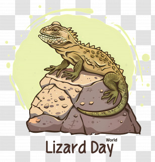 World Lizard Day - Lizard On Rock For World Lizard Day Transparent PNG