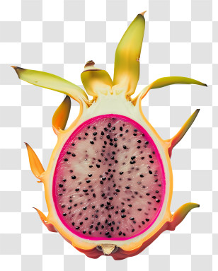 Dragon Fruit - Dragon Fruit Cut In Half Drawing Transparent PNG