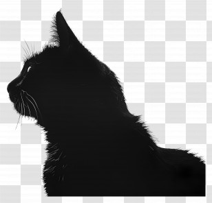 Cat Silhouette - Black Cat Silhouette In Profile Transparent PNG