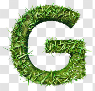 Letter G - Grass Letter G For Nature-inspired Design Transparent PNG