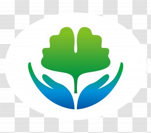 Acromegaly Patient Growth Hormone Epilepsy Pituitary Adenoma - Leaf - Gland Transparent PNG