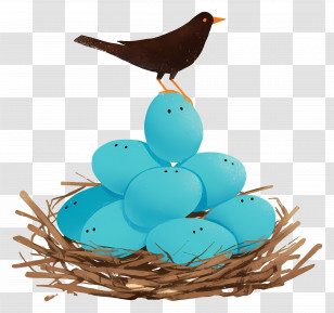 Bird On Blue Eggs - Bird With Blue Eggs In Nest Transparent PNG