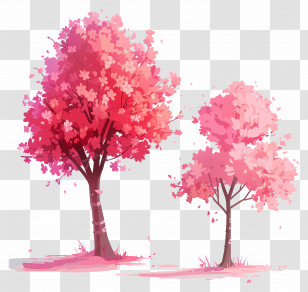 Cherry Blossom Tree - Pink Blossom Trees Illustration Transparent PNG