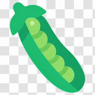 Green Peas - Green Pea Pod Illustration Transparent PNG