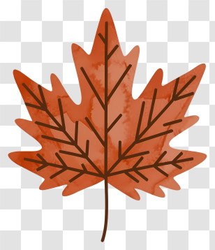 Watercolor Painting - Autumn Maple Leaf Illustration Transparent PNG
