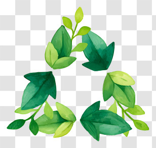 Leaves Stems Triangle - Green Leaf Watercolor Wreath Transparent PNG