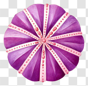 Purple Sea Urchin Shell - Purple Radial Decorative Pillow Transparent PNG