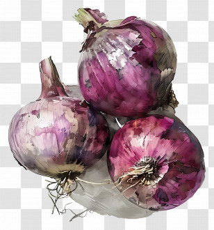 Purple Onions Watercolor - Watercolor Purple Onions Illustration Transparent PNG
